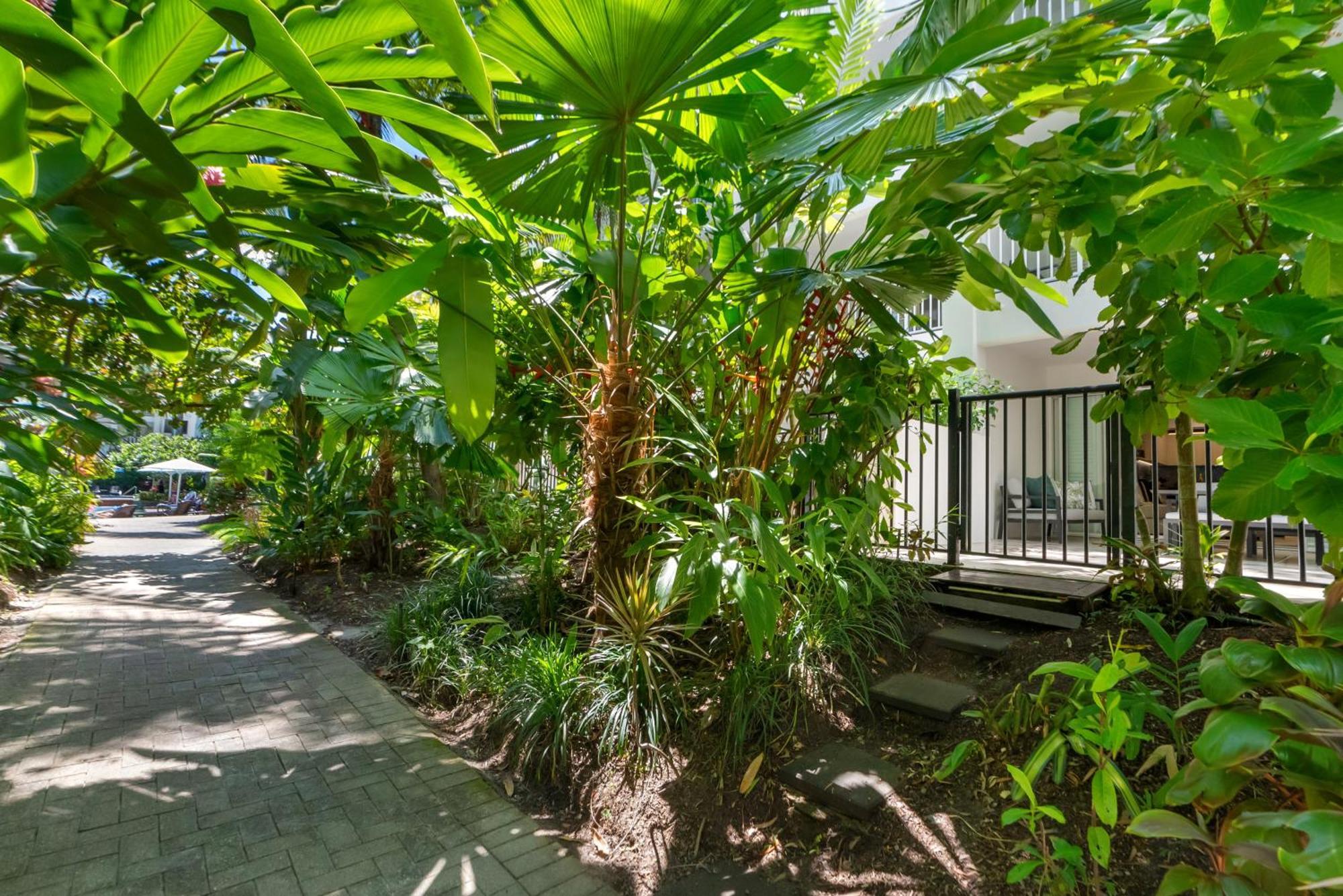 Elysium Private Apartments At Beach Club & Spa Palm Cove Extérieur photo